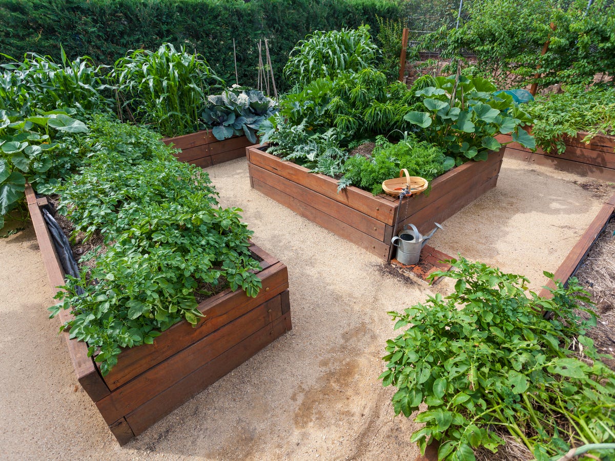 Raised planter box design